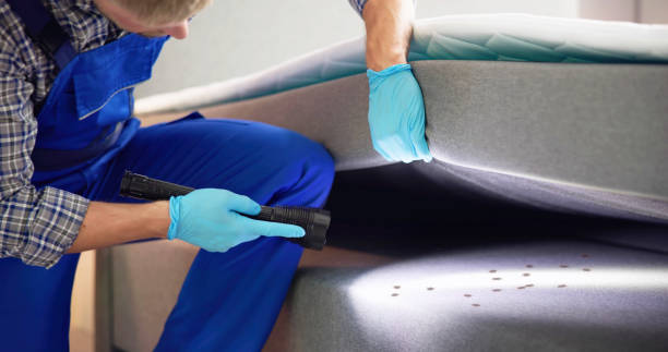 Best Cockroach Control Services  in Honea Path, SC