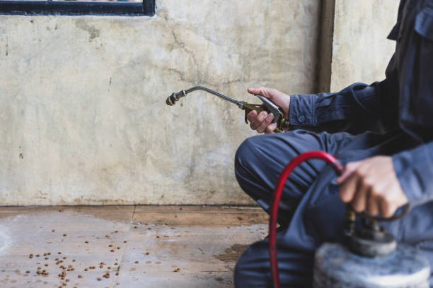 Best Flea Control Services  in Honea Path, SC